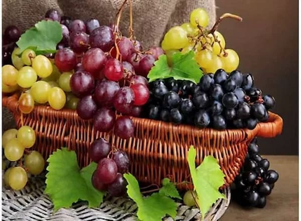 تصویر 2 از فروش شیره انگور محلی + قیمت خرید به صرفه